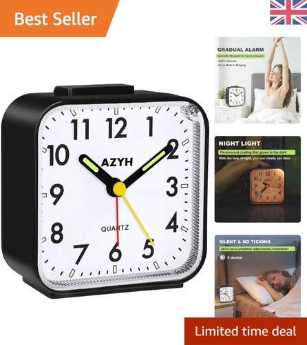 Compact luminous alarm - luminous,